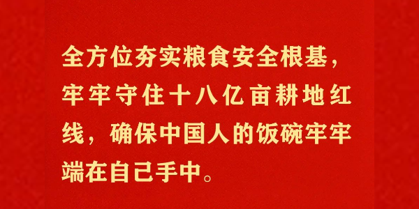 二十大报告金句（自然资源篇）（图）