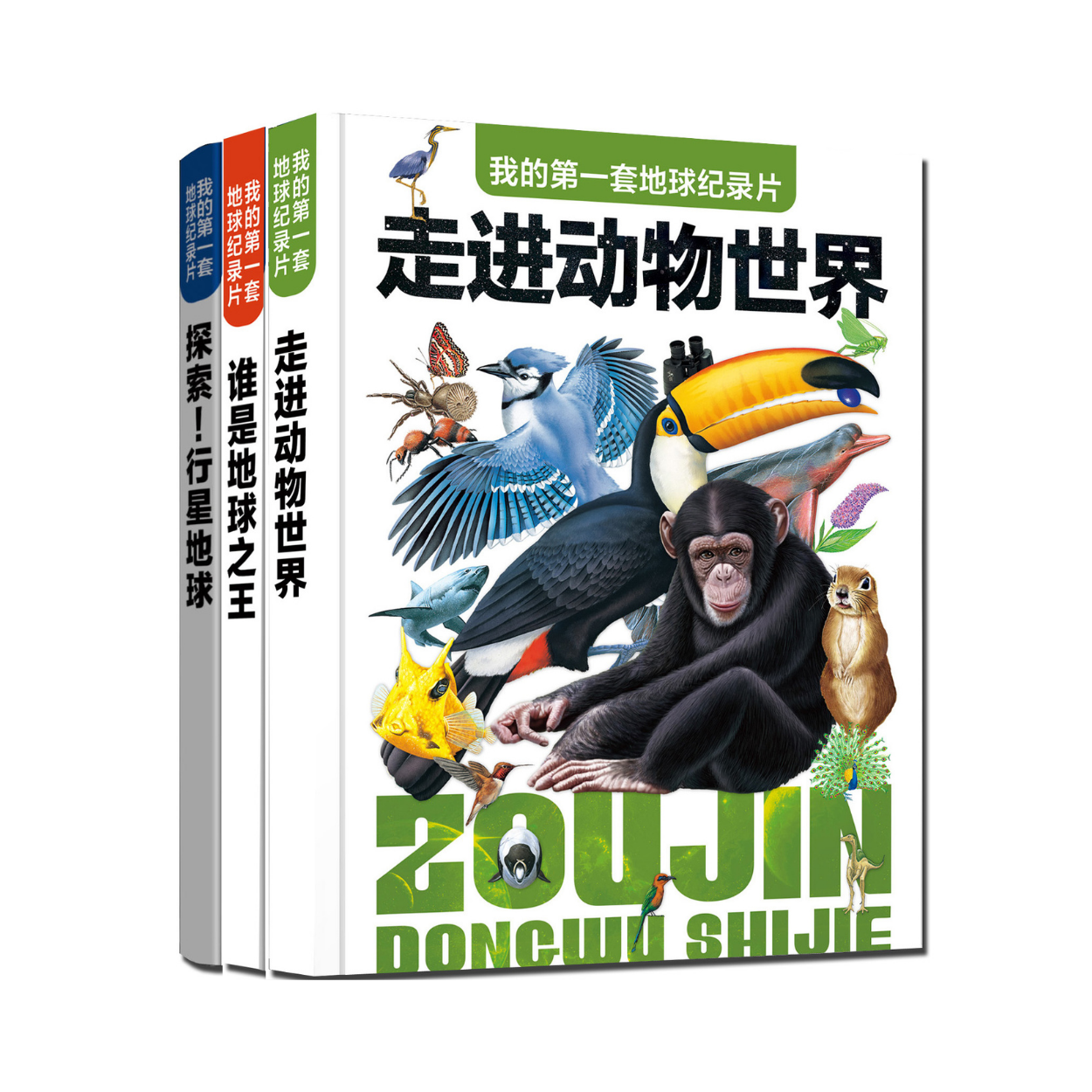 8c82d68f-f985-4fd2-9e12-da3d86ec9e1d.png 8c82d68f-f985-4fd2-9e12-da3d86ec9e1d.png