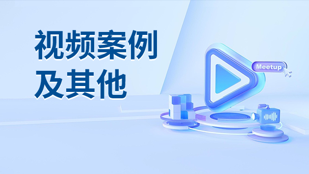 视频案例